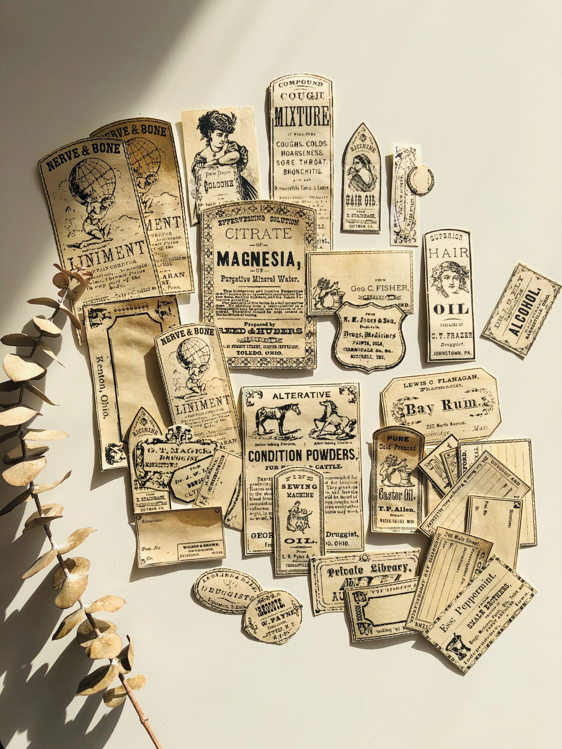 Betty's apothecary labels